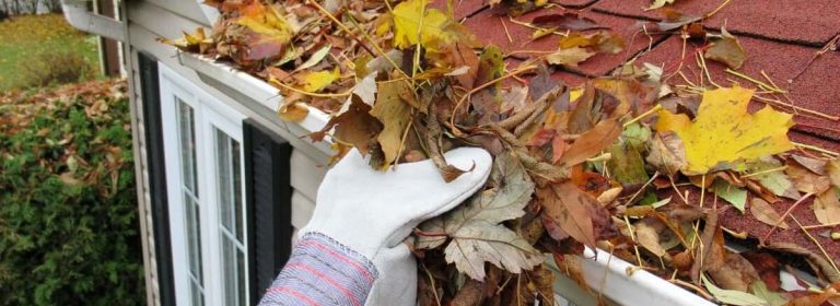 tips_cleaning_gutters (1)